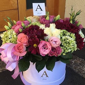 Ancona Floral